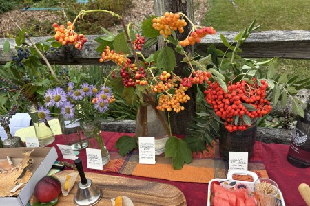 Berries & flowers in autumn make colorful display