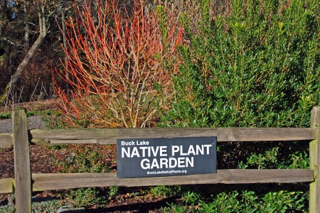 South Entrance to the native plant garden
