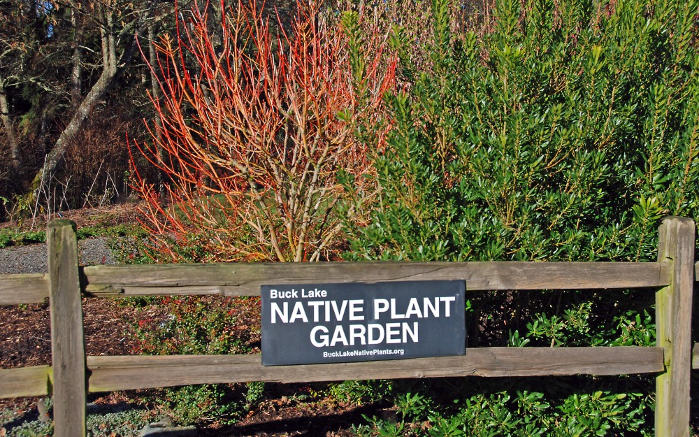South Entrance to the native plant garden