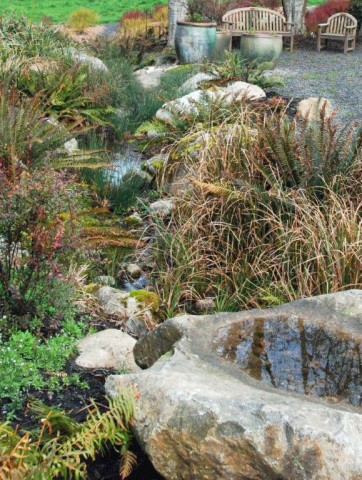 Dry or seasonal streambed in the Buck Lake Native Plant Garden