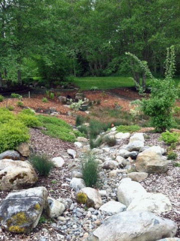 Dry or seasonal streambed in the Buck Lake Native Plant Garden